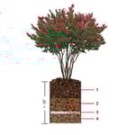 View rooflite ® Planter Performance System – Container Gardens, Planters